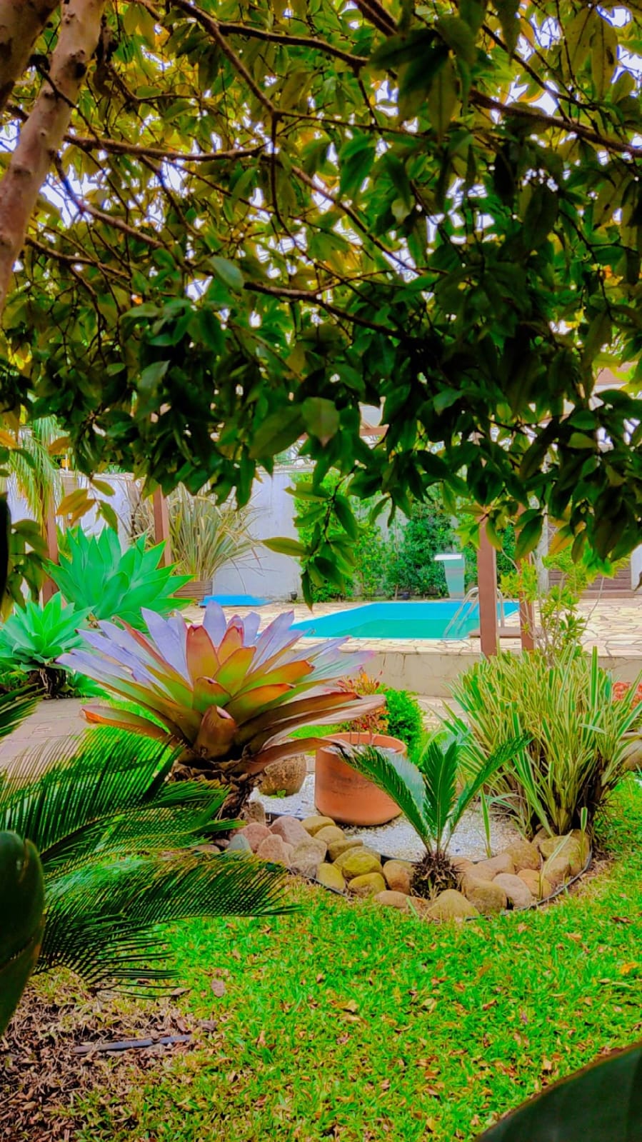 Jardim e ambiente externo